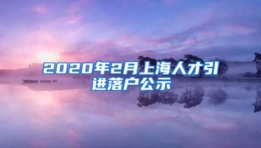 2020年2月上海人才引进落户公示