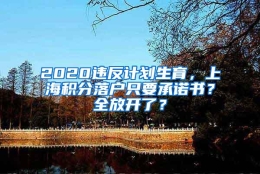 2020违反计划生育，上海积分落户只要承诺书？全放开了？