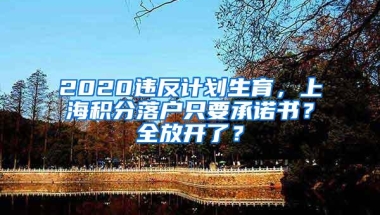 2020违反计划生育，上海积分落户只要承诺书？全放开了？