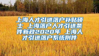 上海人才引进落户补贴硕士 上海落户人才引进条件新政2020年 上海人才引进落户系统附件