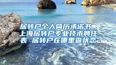 居转户个人简历承诺书 上海居转户专业技术聘任表 居转户在哪里查状态