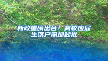 新政重磅出台！高校应届生落户深圳秒批