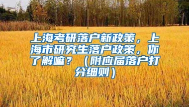 上海考研落户新政策，上海市研究生落户政策，你了解嘛？（附应届落户打分细则）