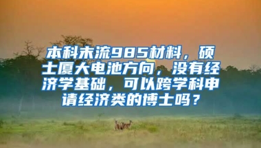 本科末流985材料，硕士厦大电池方向，没有经济学基础，可以跨学科申请经济类的博士吗？