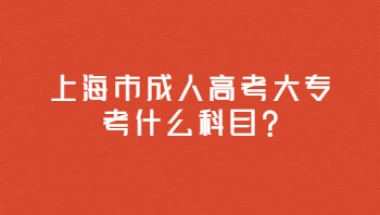 上海市成人高考大专考什么科目？