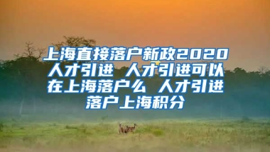 上海直接落户新政2020人才引进 人才引进可以在上海落户么 人才引进落户上海积分