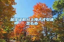 居住证积分上海人才引进怎么办