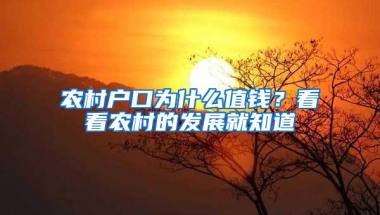 农村户口为什么值钱？看看农村的发展就知道