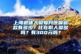 上海退休人员每月医保返款有多少？比在职人员多吗？有300元吗？