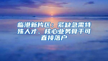 临港新片区：紧缺急需特殊人才、核心业务骨干可直接落户