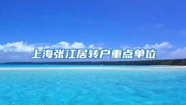 上海张江居转户重点单位