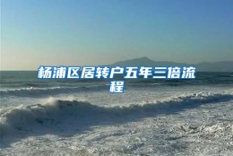 杨浦区居转户五年三倍流程