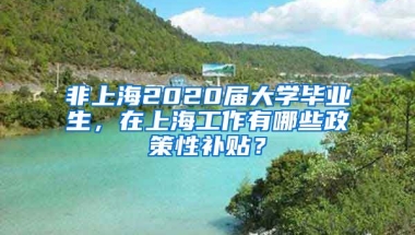 非上海2020届大学毕业生，在上海工作有哪些政策性补贴？