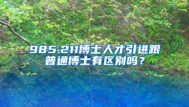 985.211博士人才引进跟普通博士有区别吗？