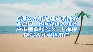 上海人才引进落户条件农业户口 上海引进人才落户市里审核多久 上海程序员人才引进落户