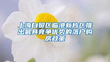 上海自贸区临港新片区推出最具竞争优势的落户购房政策