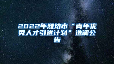 2022年潍坊市“青年优秀人才引进计划”选调公告