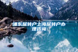 浦东居转户上海居转户办理咨询