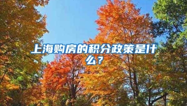 上海购房的积分政策是什么？