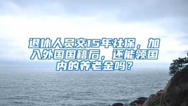 退休人员交15年社保，加入外国国籍后，还能领国内的养老金吗？