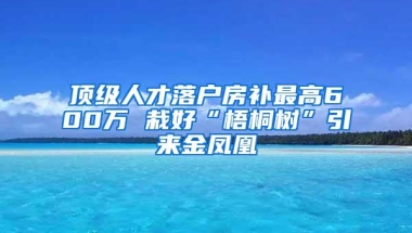 顶级人才落户房补最高600万 栽好“梧桐树”引来金凤凰