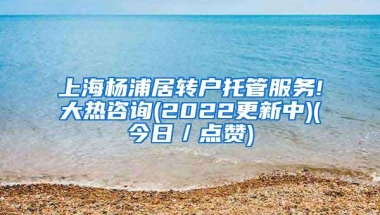 上海杨浦居转户托管服务!大热咨询(2022更新中)(今日／点赞)