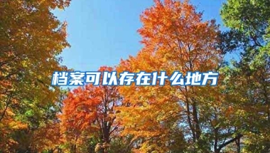 档案可以存在什么地方