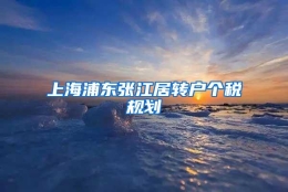 上海浦东张江居转户个税规划