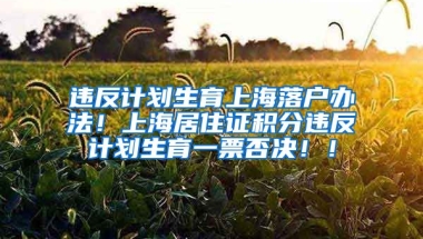 违反计划生育上海落户办法！上海居住证积分违反计划生育一票否决！！