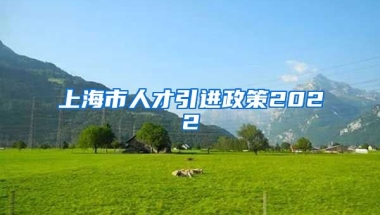 上海市人才引进政策2022