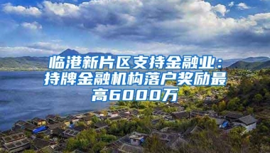 临港新片区支持金融业：持牌金融机构落户奖励最高6000万