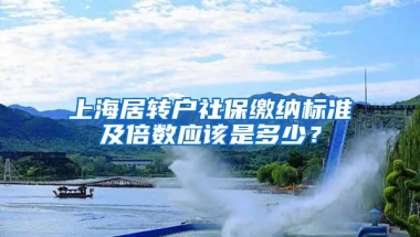 上海居转户社保缴纳标准及倍数应该是多少？