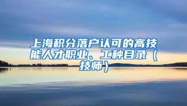 上海积分落户认可的高技能人才职业、工种目录（技师）