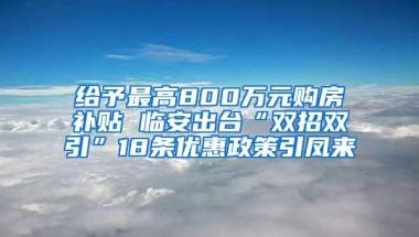 给予最高800万元购房补贴 临安出台“双招双引”18条优惠政策引凤来