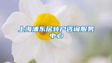 上海浦东居转户咨询服务中心