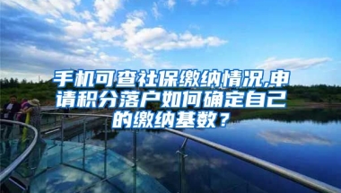 手机可查社保缴纳情况,申请积分落户如何确定自己的缴纳基数？