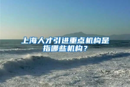 上海人才引进重点机构是指哪些机构？