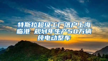 特斯拉超级工厂落户上海临港 规划年生产50万辆纯电动整车