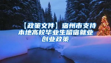 【政策文件】宿州市支持本地高校毕业生留宿就业创业政策