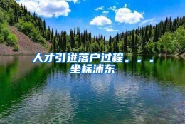 人才引进落户过程。。。坐标浦东