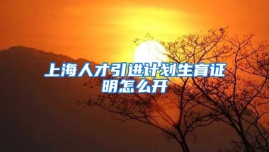 上海人才引进计划生育证明怎么开