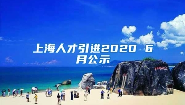 上海人才引进2020 6月公示