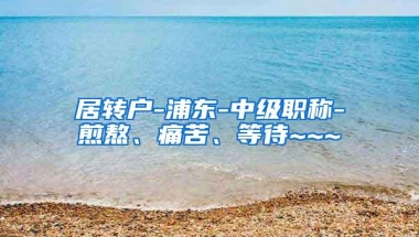 居转户-浦东-中级职称-煎熬、痛苦、等待~~~