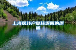 上海居转户复核退回的原因