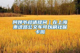 阿姨爷叔请提问｜在上海乘这路公交车可以刷社保卡啦