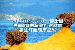 本科985、211，硕士世界前20的背景，这些留学生开始闯荡县城