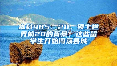 本科985、211，硕士世界前20的背景，这些留学生开始闯荡县城