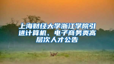 上海财经大学浙江学院引进计算机、电子商务类高层次人才公告