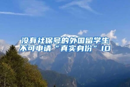 没有社保号的外国留学生不可申请“真实身份”ID