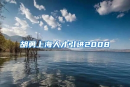 胡勇上海人才引进2008